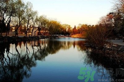 清華取消北大培文杯非原創(chuàng)考生自招資格是怎么回事？