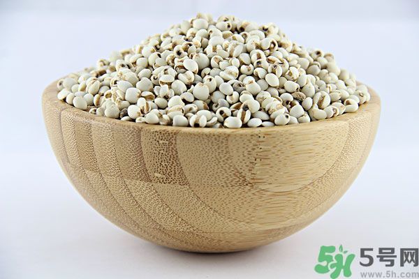 夏天吃薏米好嗎？夏天吃薏米有什么好處？