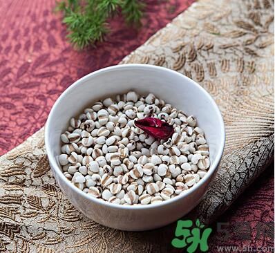 夏天吃薏米好嗎？夏天吃薏米有什么好處？