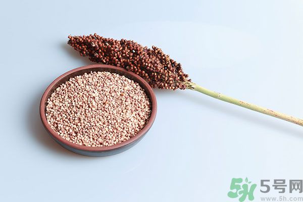 夏天吃高粱好嗎？夏天吃高粱有什么好處？