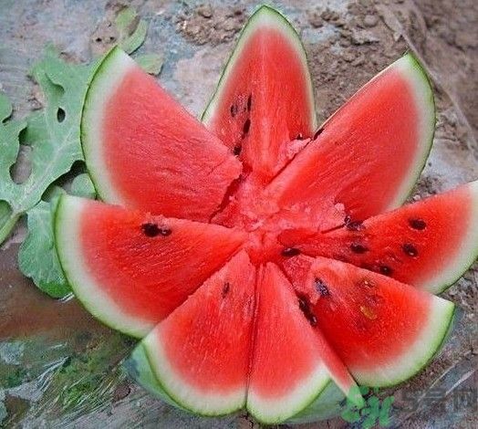 方形西瓜可以吃嗎？方形西瓜有什么好處？