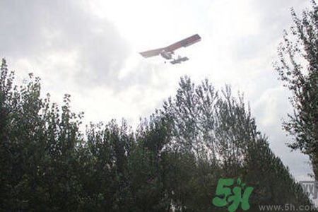 為什么15-25號(hào)不要曬被子？什么是美國(guó)白蛾？