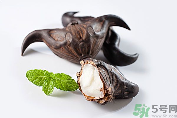 寶寶可以吃菱角嗎？寶寶多大可以吃菱角？