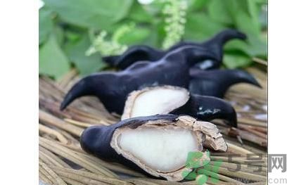 菱角怎么剝完整？菱角剝不開怎么辦？