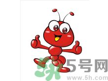 家里有螞蟻怎么辦？驅(qū)除螞蟻的方法是什么？