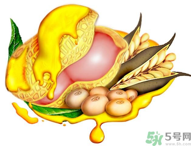 夏天吃哪種油好？什么油適合夏天吃？