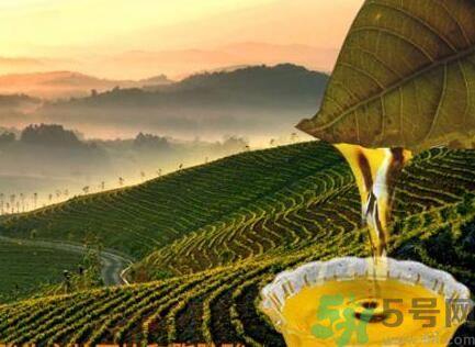 茶籽油可以天天吃嗎？可以每天用茶籽油炒菜嗎？