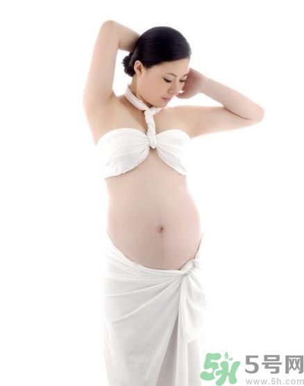 孕婦可以喝米茶嗎？懷孕可以喝米茶嗎？