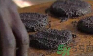 蚊子可以吃嗎？吃蚊子會(huì)怎么樣？