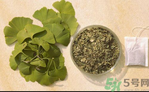夏天可以喝銀杏葉茶嗎？夏天喝銀杏葉茶好嗎？
