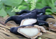 菱角汁染色怎么辦？菱角汁怎么洗掉？
