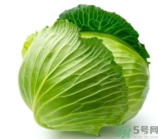 包菜可以放冰箱嗎？包菜怎么保存？