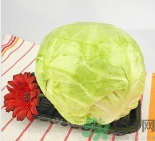 孕婦可以吃包菜嗎？孕婦吃包菜好嗎？