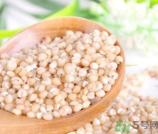 高粱米是發(fā)物嗎？高粱米是不是發(fā)物？