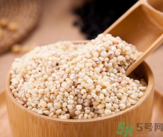 高粱米是發(fā)物嗎？高粱米是不是發(fā)物？