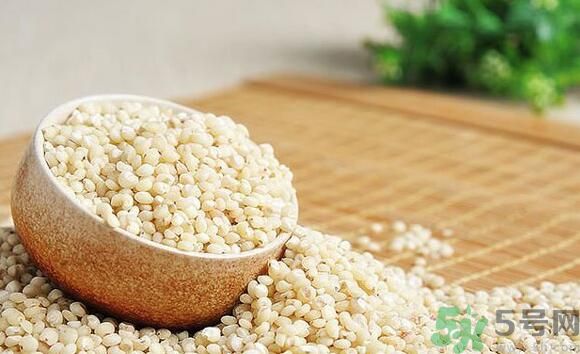高粱米是發(fā)物嗎？高粱米是不是發(fā)物？
