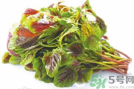 孕婦可以吃漢菜嗎？懷孕可以吃漢菜嗎？