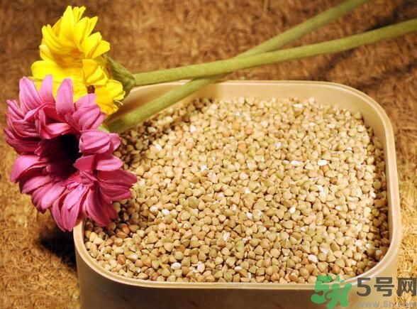 蕎麥?zhǔn)前l(fā)物嗎？蕎麥?zhǔn)遣皇前l(fā)物？