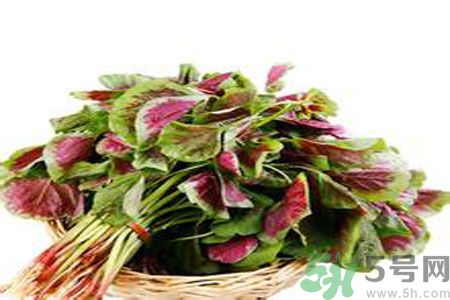 胃不好可以吃莧菜嗎？胃不好吃莧菜好嗎？