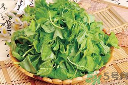 胃不好可以吃莧菜嗎？胃不好吃莧菜好嗎？