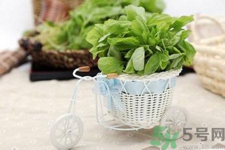 月經(jīng)期間可以吃漢菜嗎？來月經(jīng)可以吃漢菜嗎？