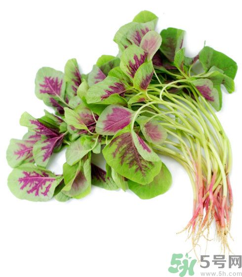 吃莧菜會(huì)皮膚過敏嗎？吃莧菜皮膚過敏怎么辦？