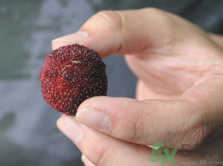 楊梅里面的蟲子能吃嗎？楊梅里面的蟲子吃了會怎么樣？