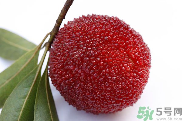 楊梅里面的蟲子能吃嗎？楊梅里面的蟲子吃了會怎么樣？