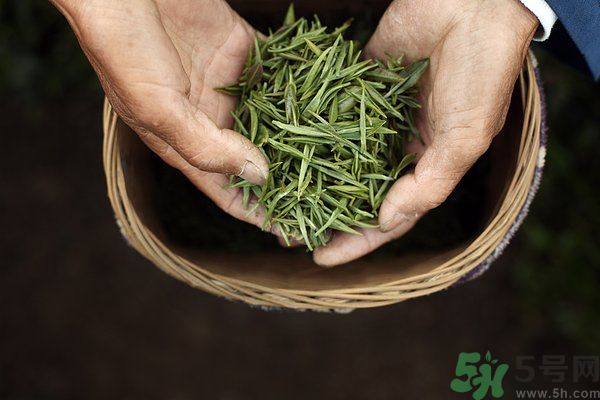 吃魚的時候能喝茶嗎？吃魚可以喝茶嗎？