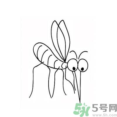 夏天家中有蒼蠅怎么辦？夏天如何滅蒼蠅？