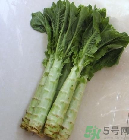 筍子是不是發(fā)物？筍子是發(fā)物嗎？