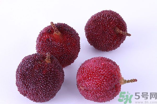 楊梅里面有小蟲怎么洗？楊梅里的蟲子怎么弄出來？
