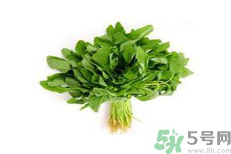 莧菜可以生吃嗎？莧菜生吃了會(huì)怎樣？