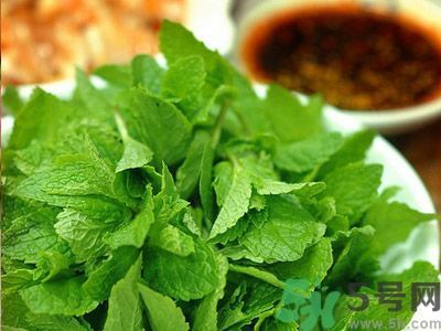 薄荷可以炒菜吃嗎？薄荷可以用來炒菜嗎？