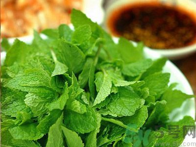 薄荷有什么功效？薄荷的攻效是什么？