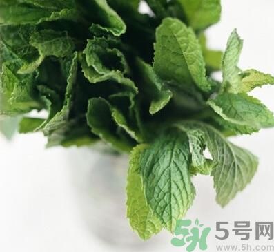 薄荷有什么功效？薄荷的攻效是什么？
