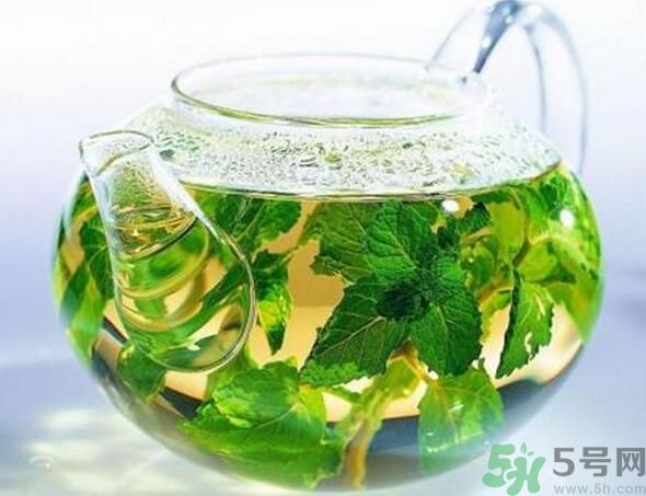 薄荷茶怎么泡好喝？薄荷茶的沖泡方法有哪些？