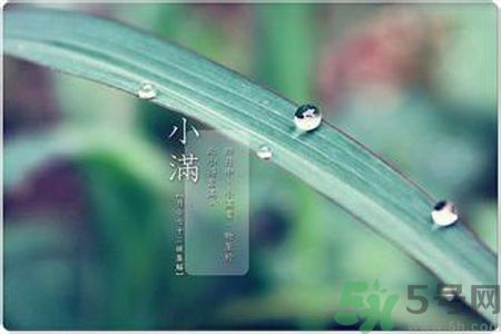 小滿容易得什么皮膚??？小滿得了皮膚病怎么辦？