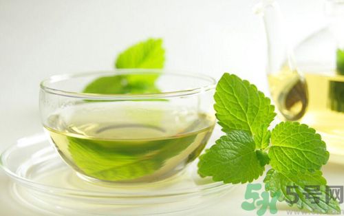  孕婦可以喝薄荷茶嗎？孕婦能喝薄荷泡的茶嗎？