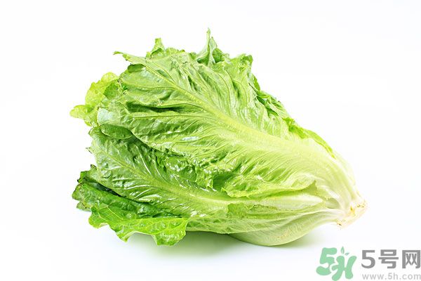 生菜在冰箱放久了能吃嗎？如何分辨生菜新不新鮮？