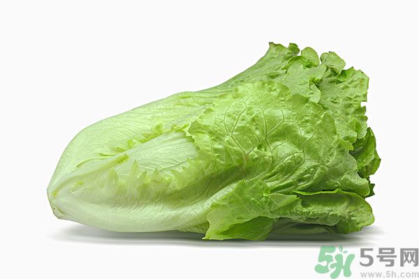 生菜在冰箱放久了能吃嗎？如何分辨生菜新不新鮮？