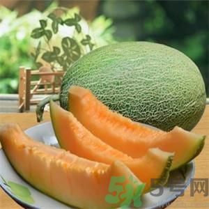 吃哈密瓜可以喝可樂嗎？喝可樂可以吃哈密瓜嗎？