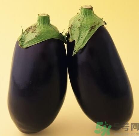 青皮茄子和紫皮茄子有什么區(qū)別？青皮茄子好還是紫皮茄子好？