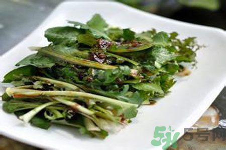 寶寶可以吃苦菜嗎？寶寶多大可以吃苦菜？