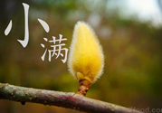 小滿名字的由來(lái)？小滿是什么意思？