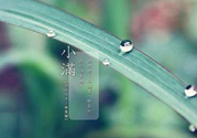 為什么小滿濕氣重？小滿怎么除濕氣？