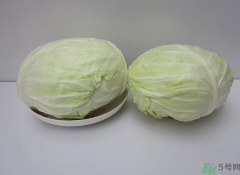 包菜榨汁要加水嗎？包菜汁怎么做？