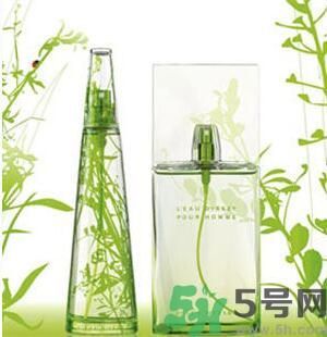 蚊子叮的包過(guò)幾天又癢是為什么？蚊子叮的包過(guò)幾天又癢怎么辦？