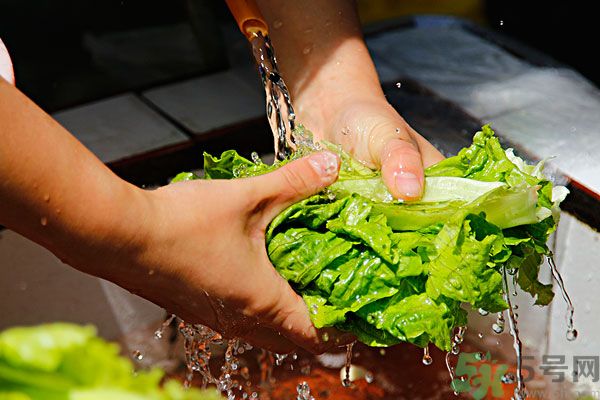 生菜生吃會(huì)有寄生蟲嗎？生菜生吃會(huì)長(zhǎng)寄生蟲嗎？