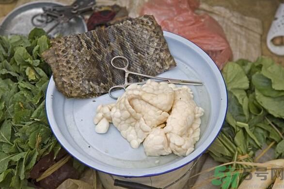 夏天吃蛇肉可以清火嗎？夏天吃蛇肉可以降火嗎？